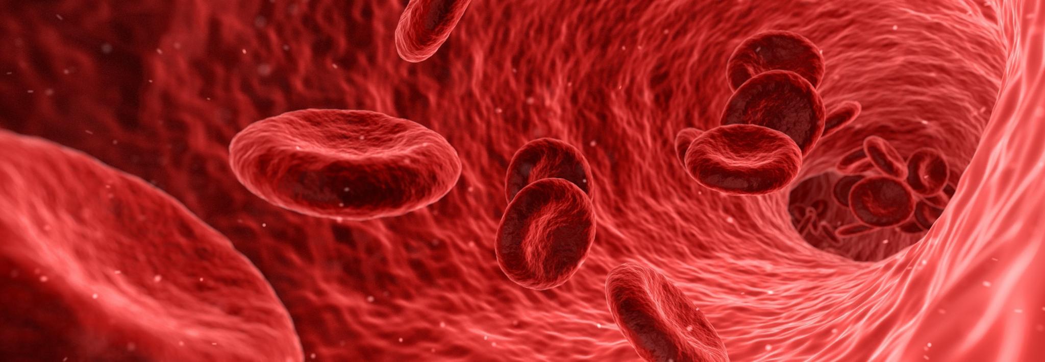 Artist impression of red blood cells in a blood vessel