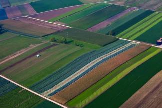 Fields with different crops seen from the air: GMO? Organic?